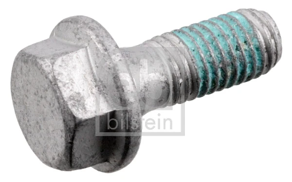 Bolt, brake caliper